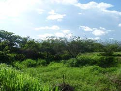 Propiedades en Oferta